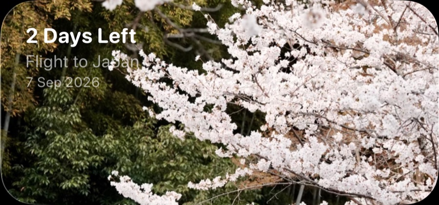 A medium photo-theme widget: cherry blossoms, 2 days left to a flight to Japan.